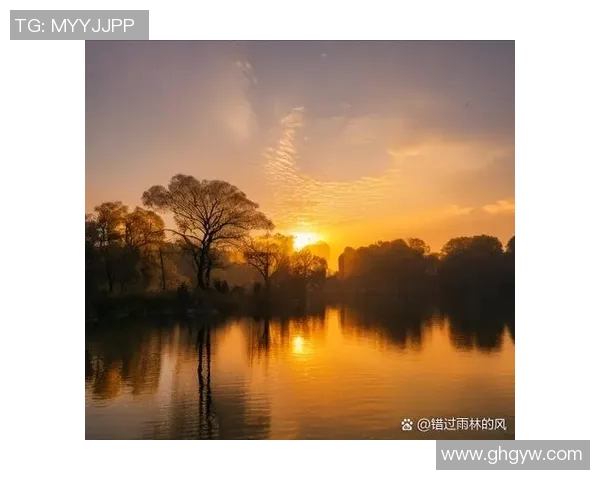 仙台七夕与太阳的奇妙交融探秘传统文化与自然之美的完美结合